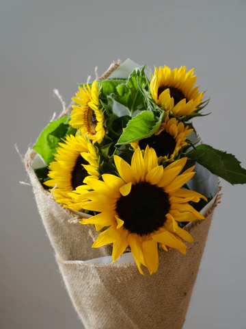 Sunrise Meadow Blooms